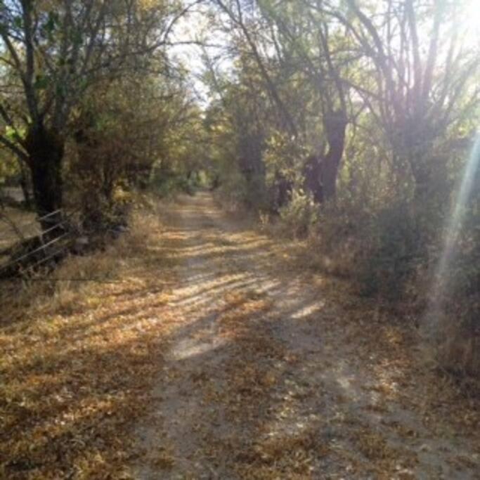 Casa Rural La Fresneda De Tenzuela セゴビア エクステリア 写真