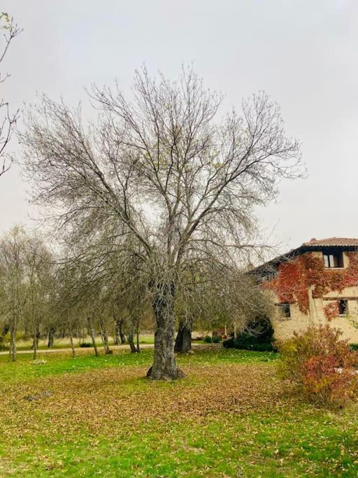 Casa Rural La Fresneda De Tenzuela セゴビア エクステリア 写真